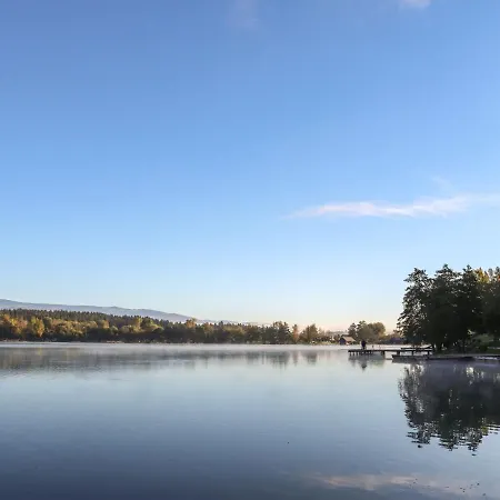 Forelle By Interhome Apartment *